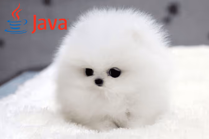 Fluffy white dog with the Java logo