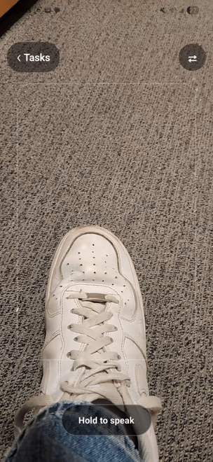 Shoelace live camera view with hold to speak control